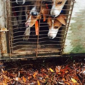 Meet your Posher, Tyrone